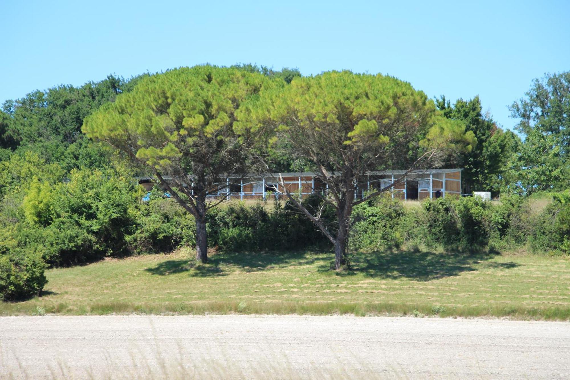 Domaine De Kiba - Maison De Maitre Hotel Barzan Eksteriør billede